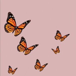 Meet your Posher, Freya